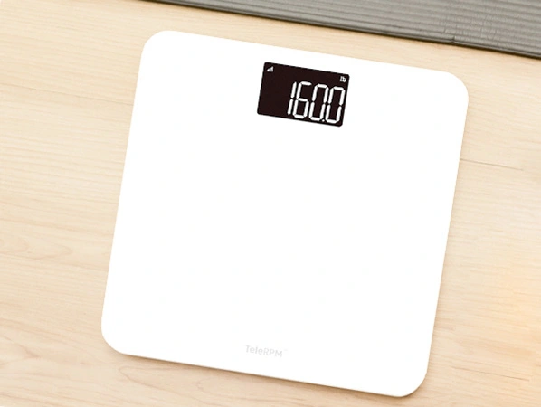 Electronic Weight Scale - Fitatsea